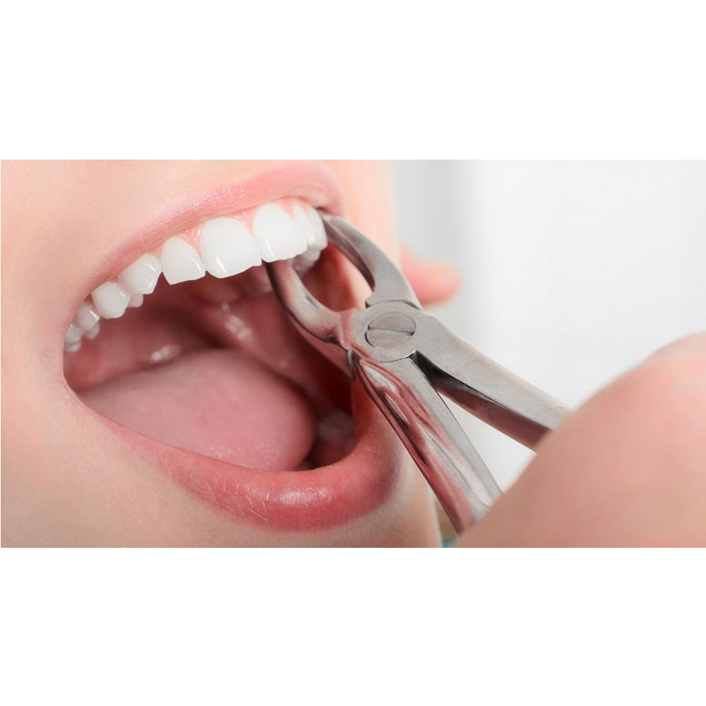 GDC Extraction Forceps Lower Roots & Anteriors FX74S | 74 Standard