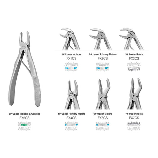 GDC Extraction Forceps Pedo Set Of 7 In Pouch - Standard - EFPSP7