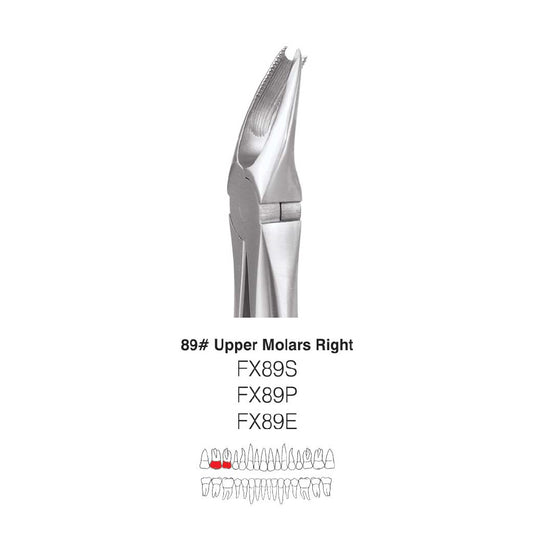 GDC Extraction Forceps Upper Molars Right FX89S | 89 Standard