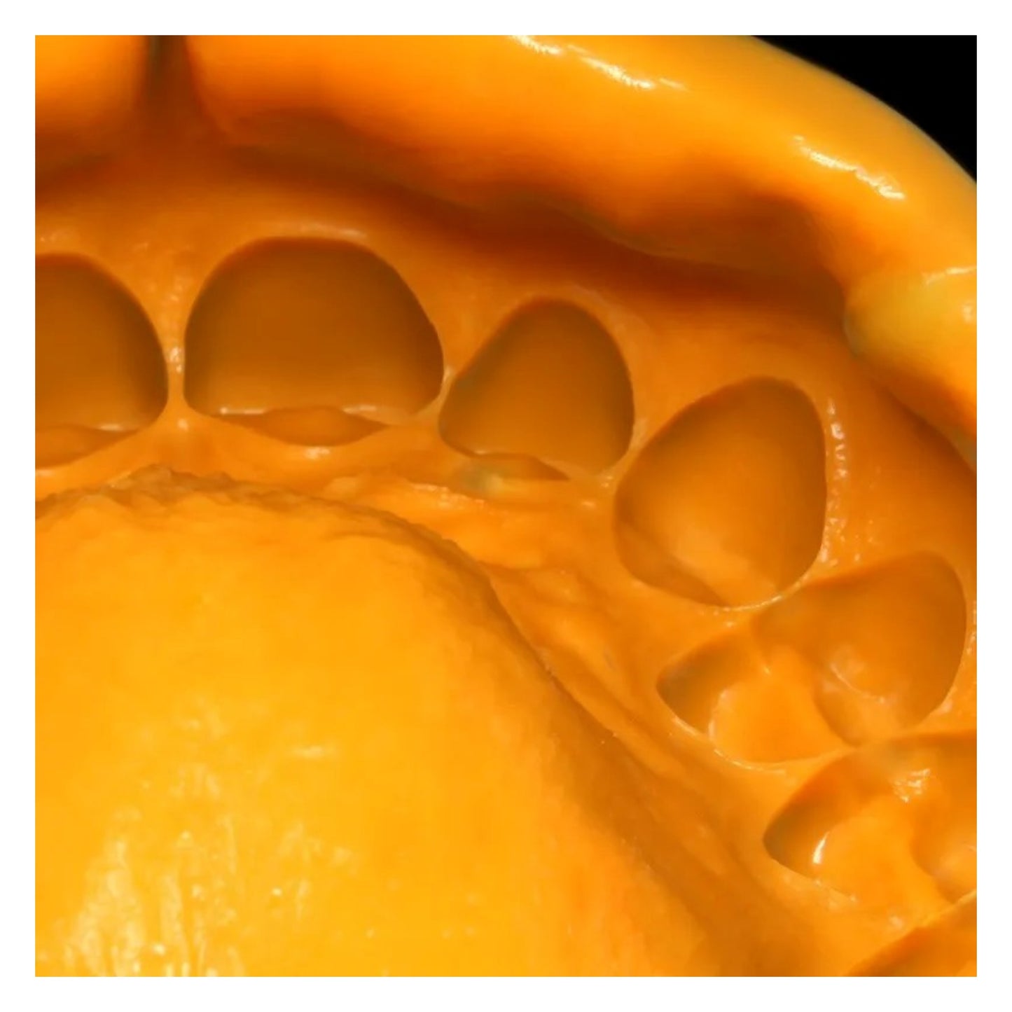 Zhermack Zetaplus 10KG Bucket