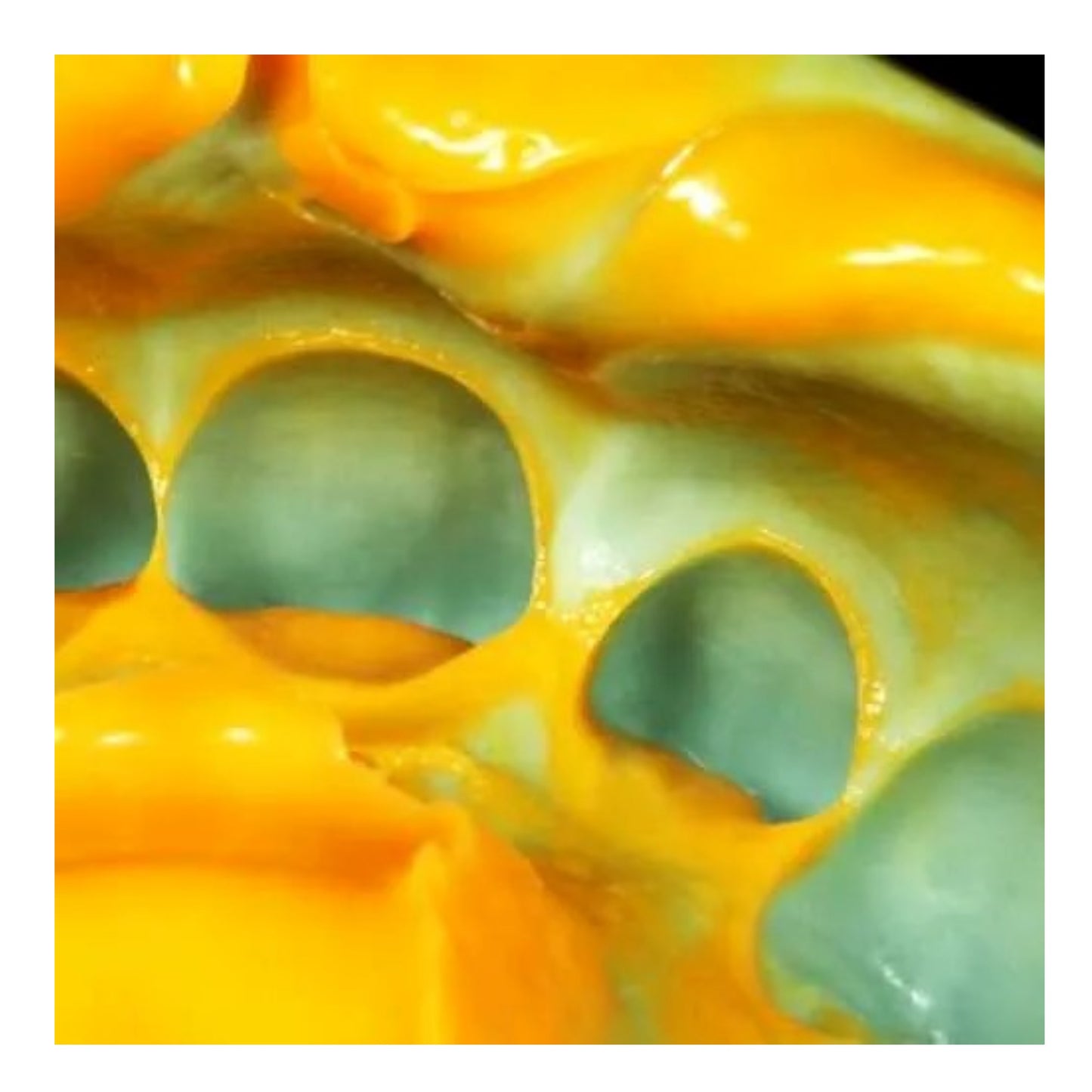 Zhermack C Silicone Impression Material 900ML Putty