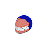 Orthodontic Equipment & Instruments