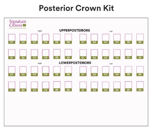 3M Paedodontic Zirconia Crowns Kits