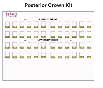 3M Paedodontic Zirconia Crowns Kits