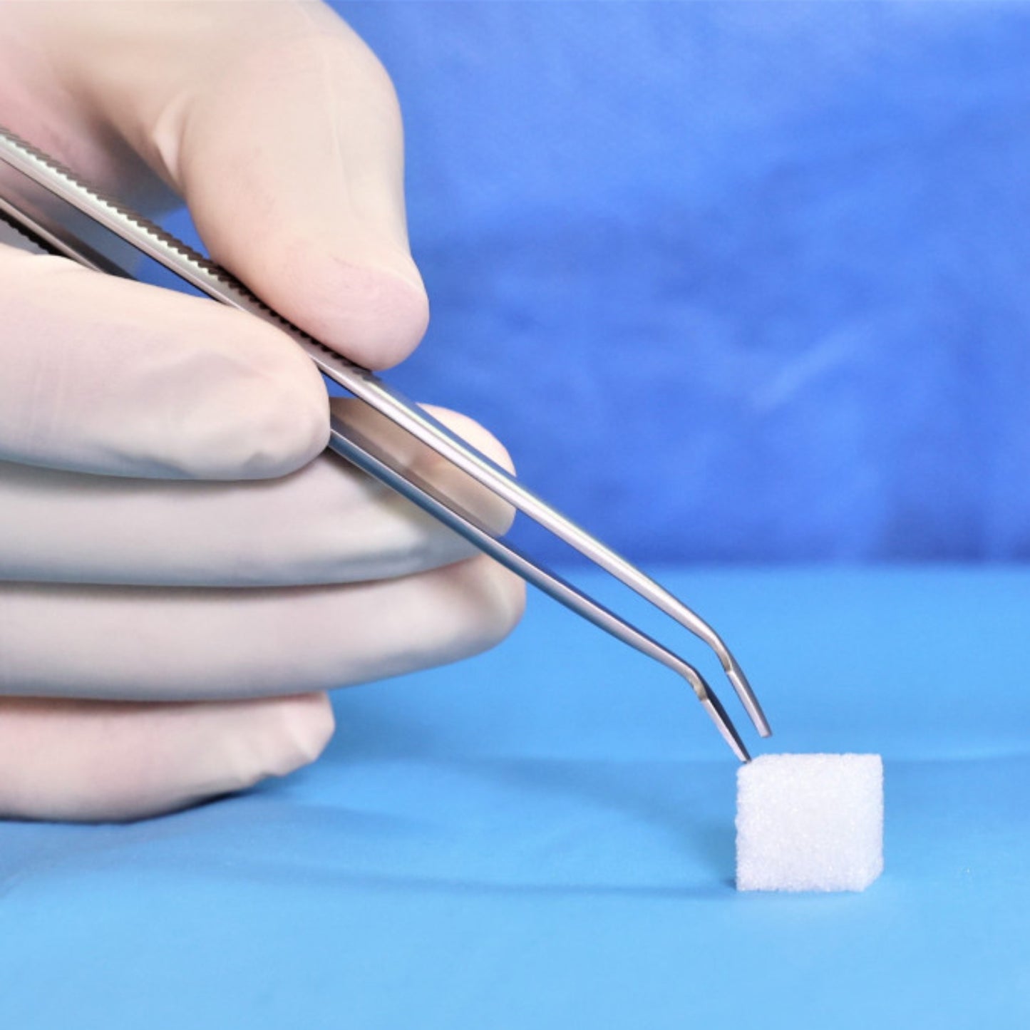 Dental Absorbable Gelatin Sponge 10 × 10 × 10 mm | Pack of 32