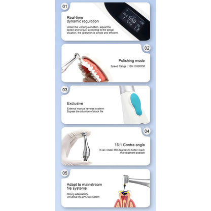 Dental Wireless EndoMotor - GXi-48 | Cordless Endodontic Motor