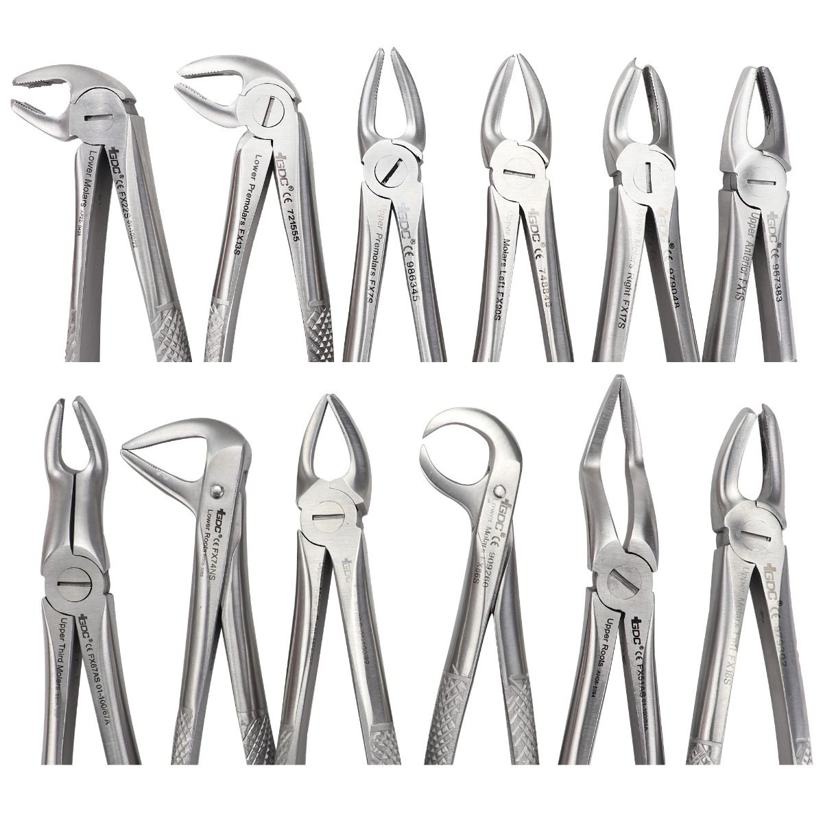 GDC Extraction Forceps Kit | Set Of 12 | Forcep Set of 12 used to Extract the Tooth