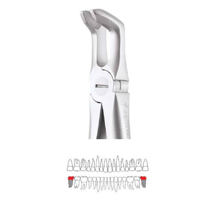 GDC Extraction Forcep Lower Third Molars - AFX79 | 79 Atraumatic