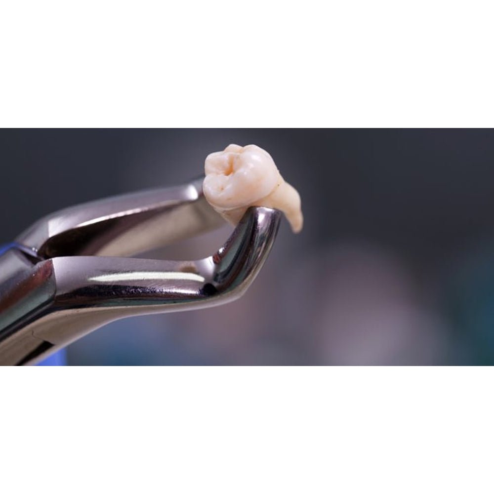 GDC Extraction Forcep Lower Third Molars - AFX79 | 79 Atraumatic