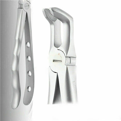 GDC Extraction Forcep Lower Third Molars - FX79P | 79 Premium