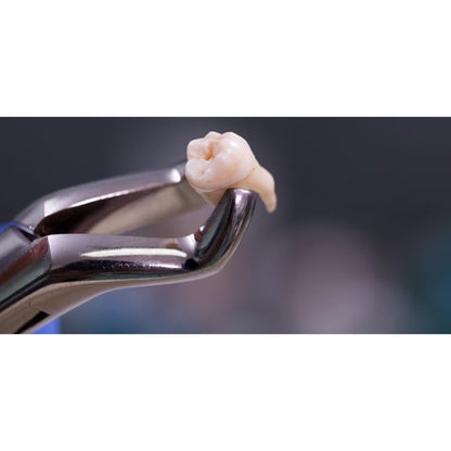 GDC Extraction Forcep Lower Third Molars - FX79P | 79 Premium