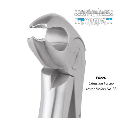 GDC Extraction Forceps Lower Molars - FX22S | 22 Standard