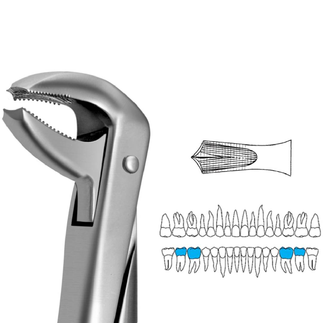 GDC Extraction Forceps Lower Molars FX73S | 73 Standard
