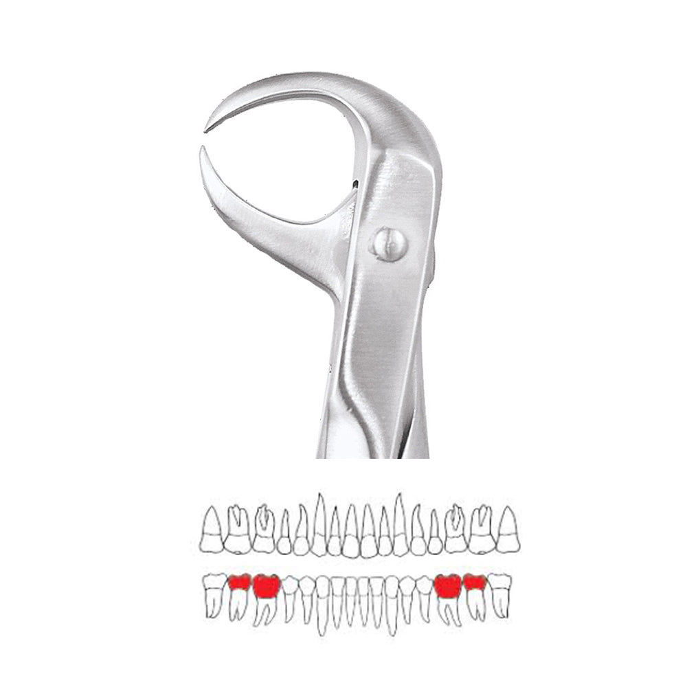GDC Extraction Forceps Lower Molars FX86S | 86 Standard