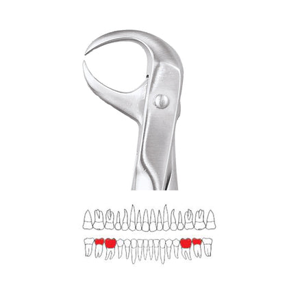 GDC Extraction Forceps Lower Molars FX86S | 86 Standard