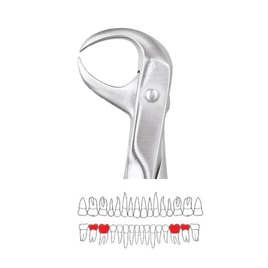GDC Extraction Forceps Lower Molars FX86S | 86 Standard