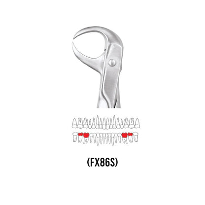 GDC Extraction Forceps Lower Molars FX86S | 86 Standard
