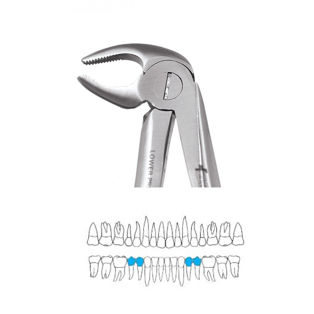 GDC Extraction Forceps Lower Premolars FX13S | 13 Standard