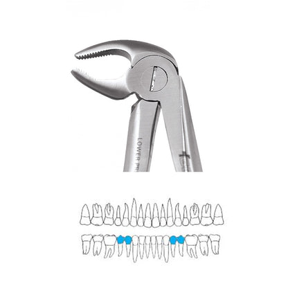 GDC Extraction Forceps Lower Premolars FX13S | 13 Standard