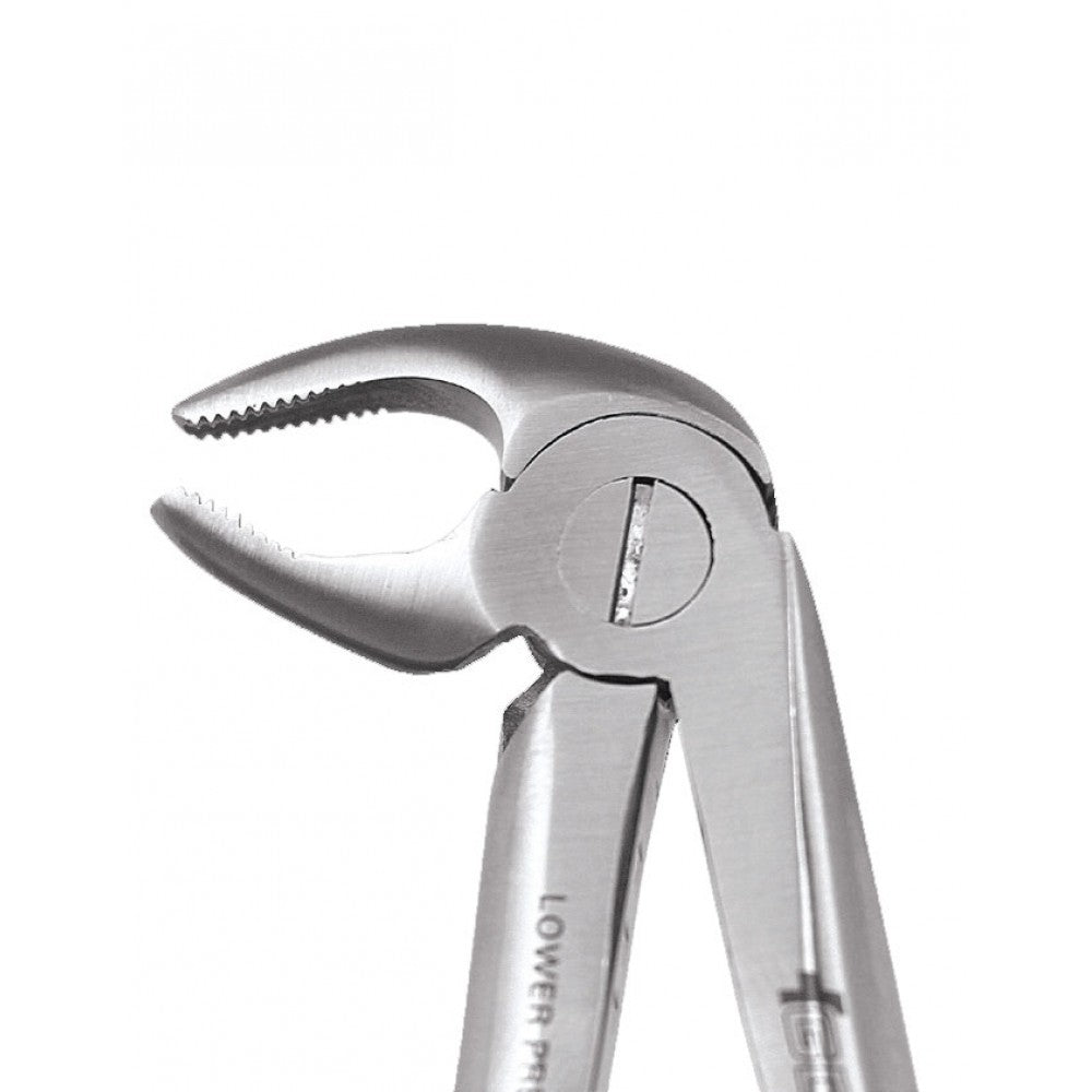 GDC Extraction Forceps Lower Premolars FX13S | 13 Standard