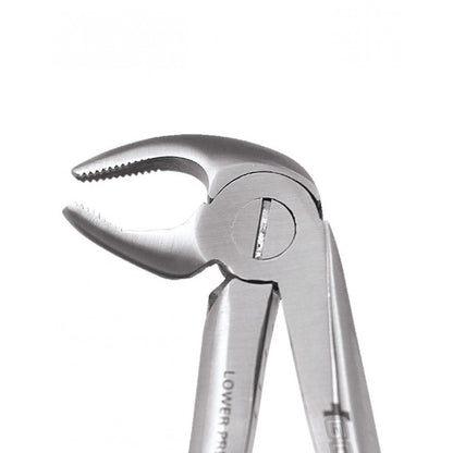 GDC Extraction Forceps Lower Premolars FX13S | 13 Standard