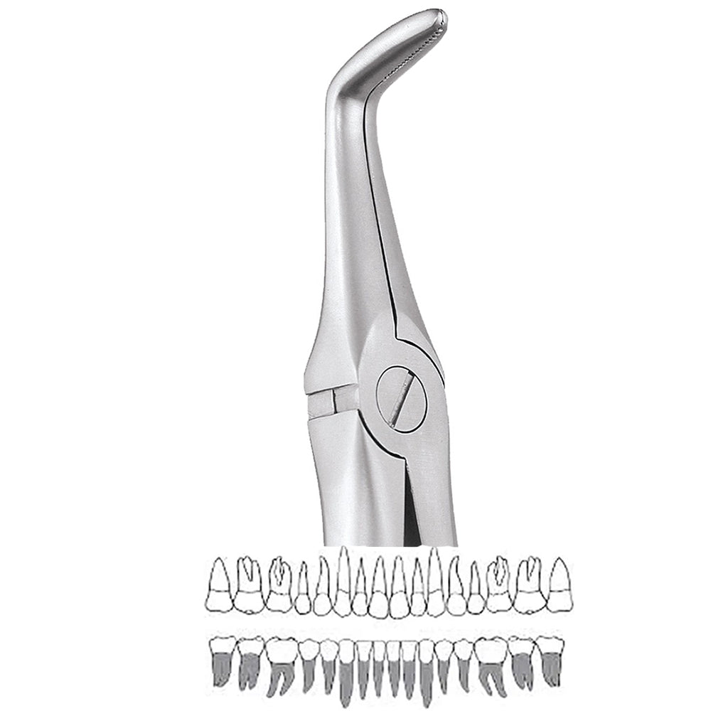 GDC Extraction Forceps Lower Roots - 845.00 Secure - SFX845.00