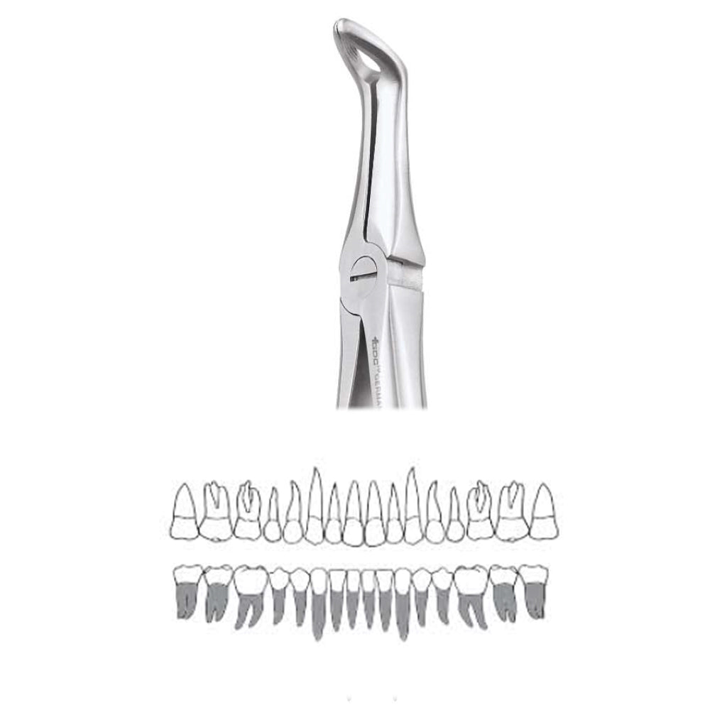 GDC Extraction Forceps Lower Roots - FX45S | 45 Standard