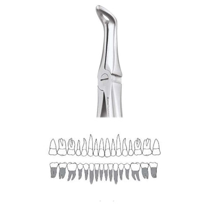 GDC Extraction Forceps Lower Roots - FX45S | 45 Standard