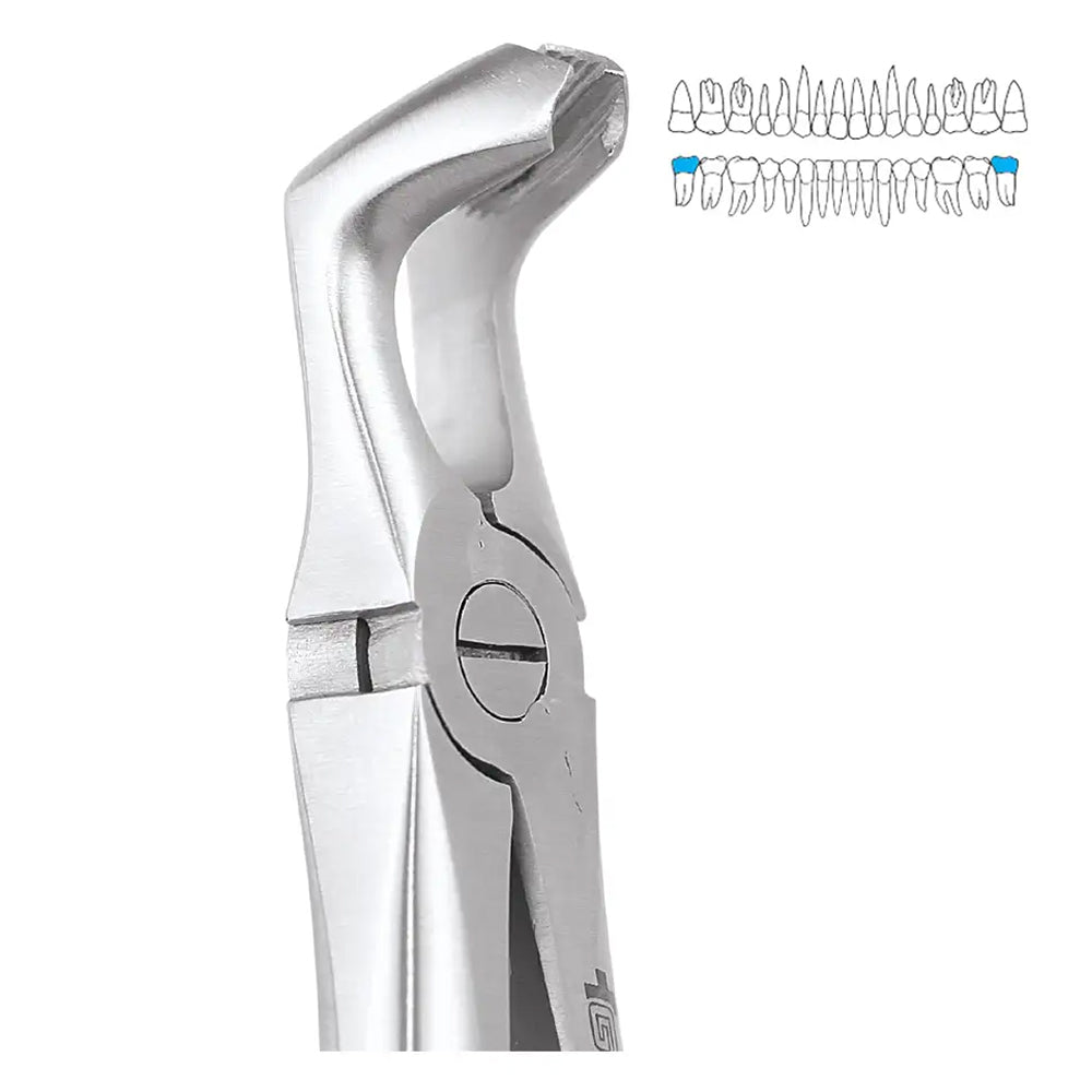 GDC Extraction Forceps Lower Third Molars FX79S | 79 Standard