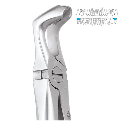 GDC Extraction Forceps Lower Third Molars FX79S | 79 Standard