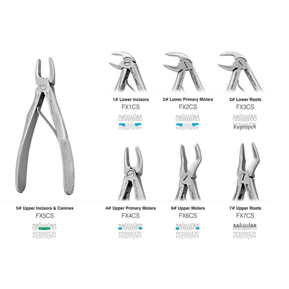 GDC Extraction Forceps Pedo Set Of 7 In Pouch - Standard - EFPSP7
