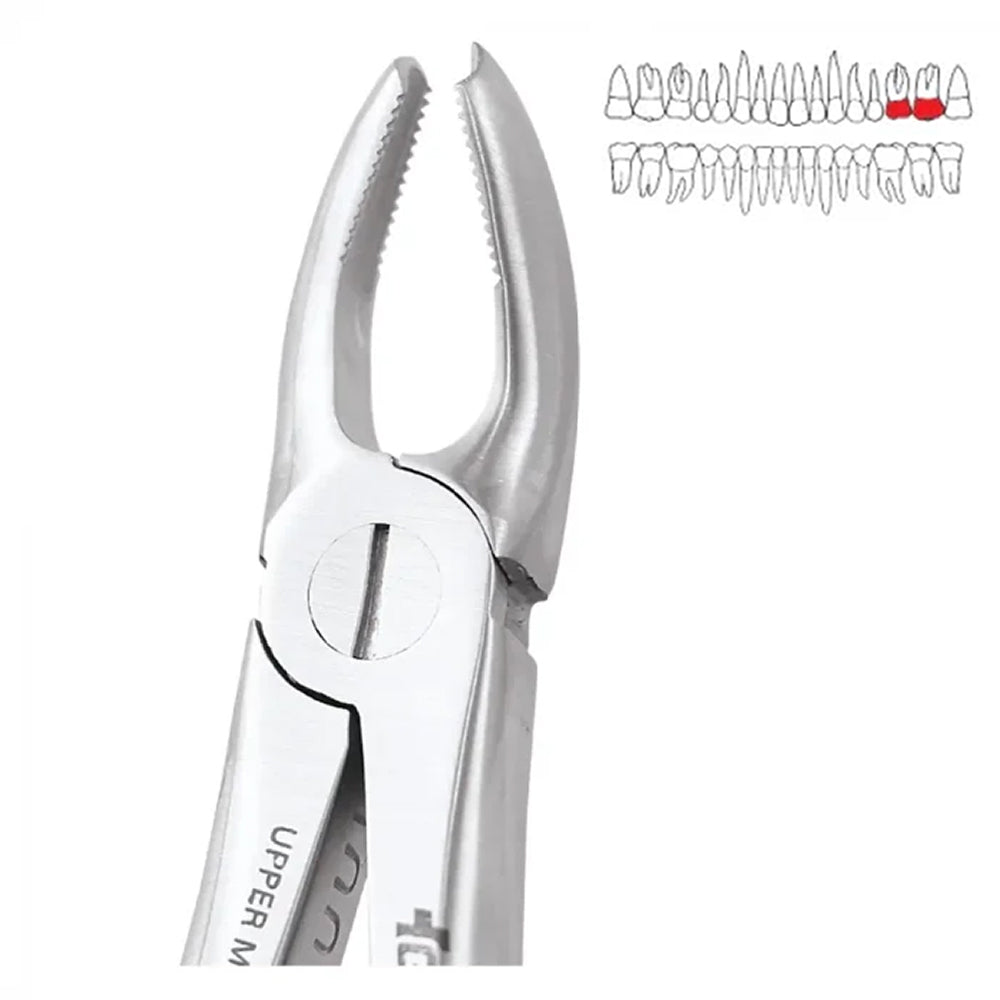 GDC Extraction Forceps Upper Molar Left FX18S | 18 Standard