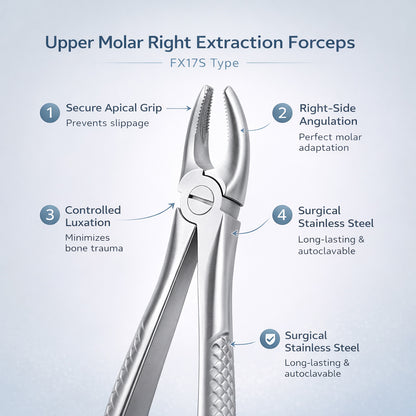 GDC Extraction Forceps Upper Molars Right FX17S | 17 Standard
