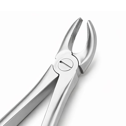 GDC Extraction Forceps Upper Molars Right FX17S | 17 Standard
