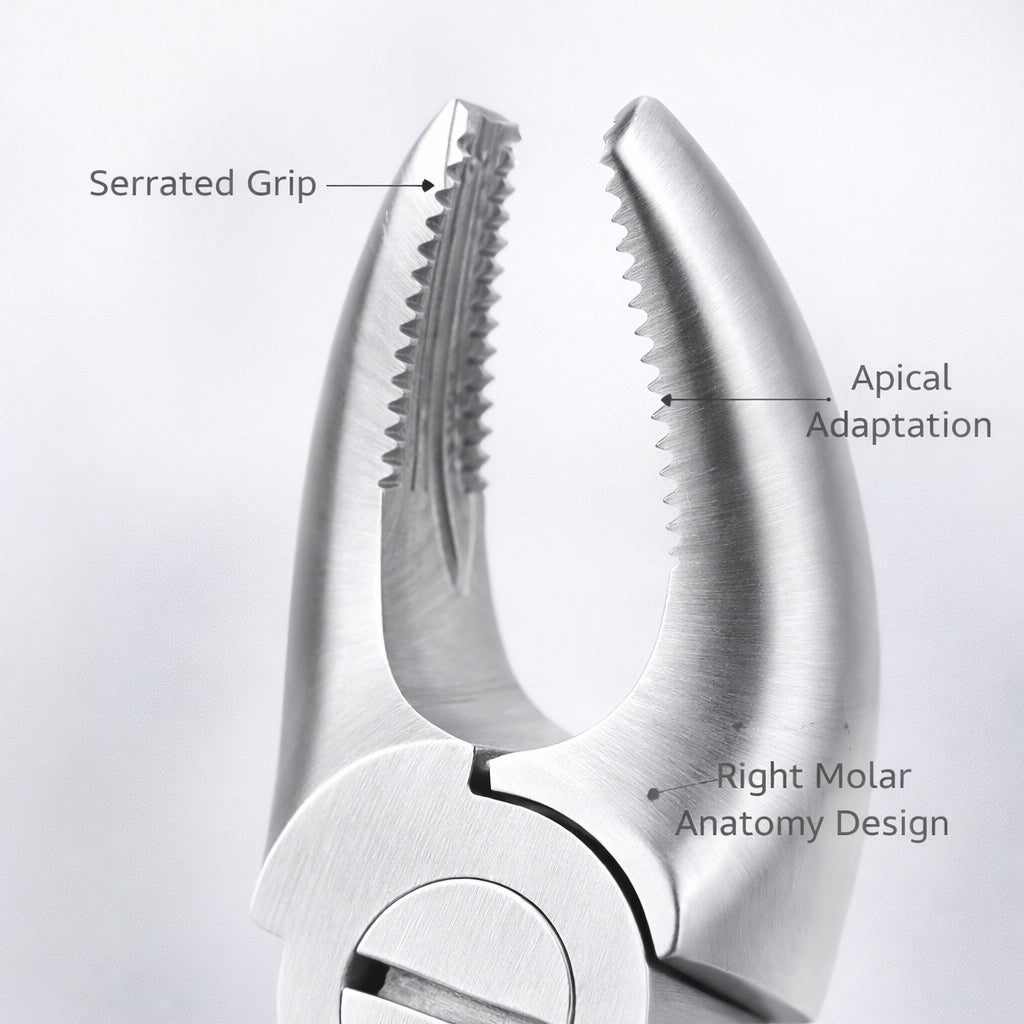 GDC Extraction Forceps Upper Molars Right FX17S | 17 Standard