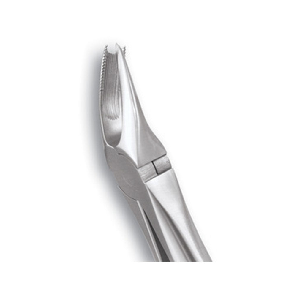 GDC Extraction Forceps Upper Molars Right FX89S | 89 Standard
