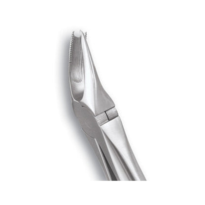 GDC Extraction Forceps Upper Molars Right FX89S | 89 Standard