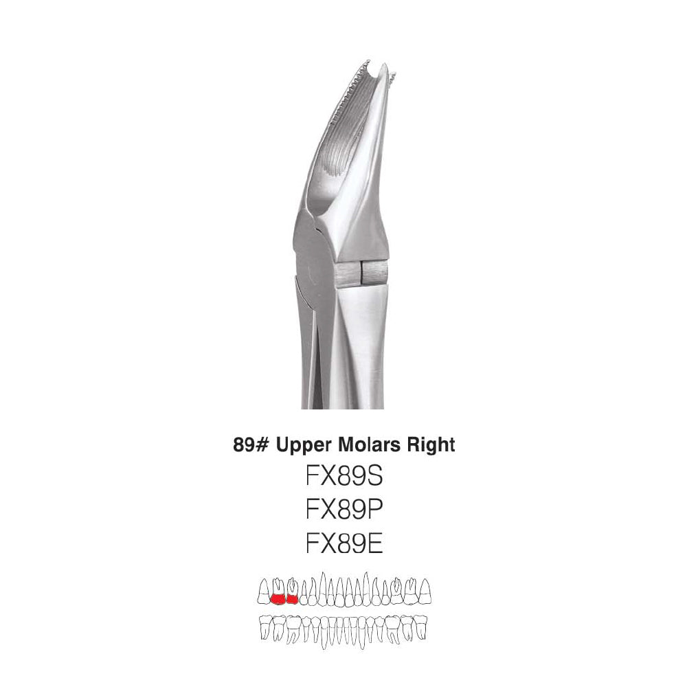GDC Extraction Forceps Upper Molars Right FX89S | 89 Standard