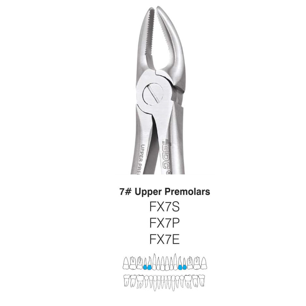 GDC Extraction Forceps Upper Premolar FX7S | 7 Standard