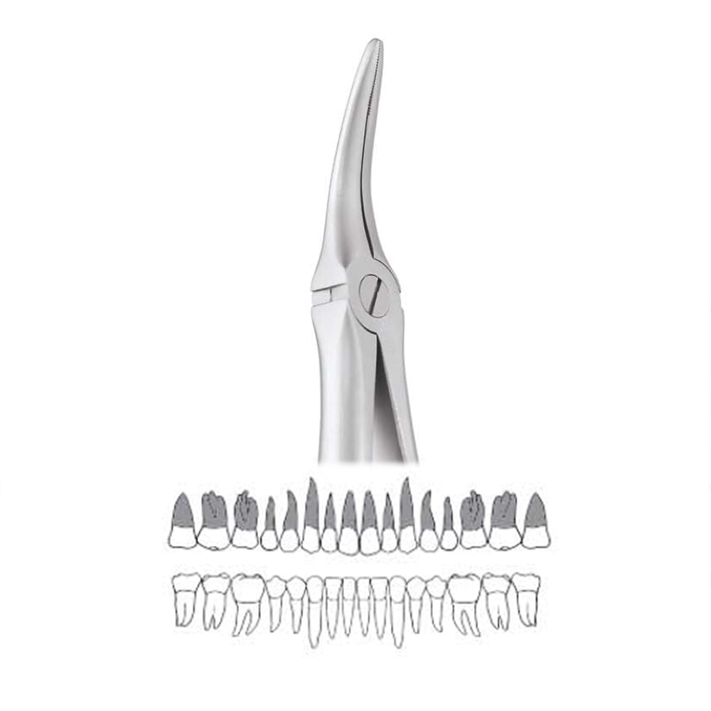 GDC Extraction Forceps Upper Roots - 149.11 Secure - SFX149.11