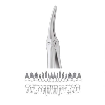 GDC Extraction Forceps Upper Roots - 149.11 Secure - SFX149.11