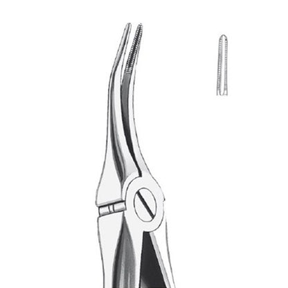 GDC Extraction Forceps Upper Roots - 149.11 Secure - SFX149.11