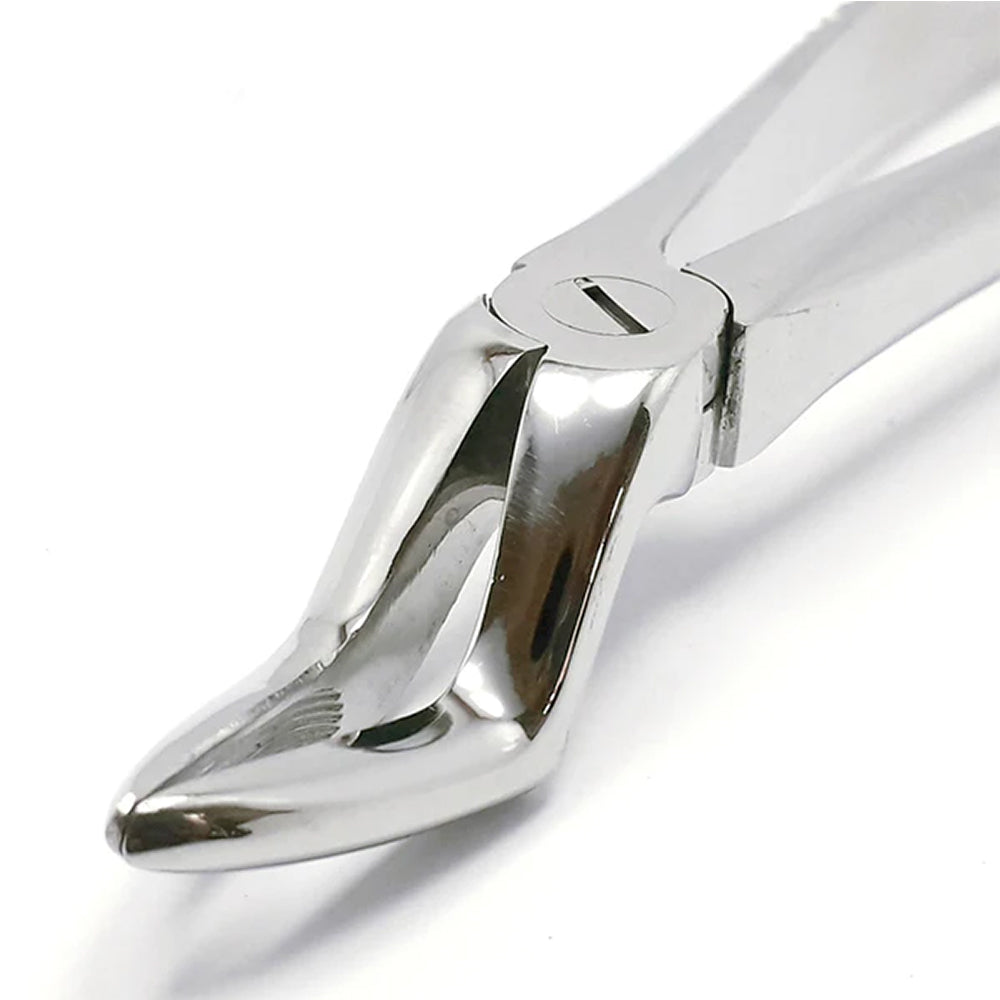 GDC Extraction Forceps Upper Roots FX51AS | 51A Standard