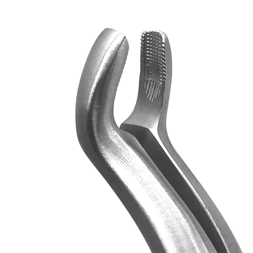 GDC Extraction Forceps Upper Third Molars - FX67AP | 67A Premium
