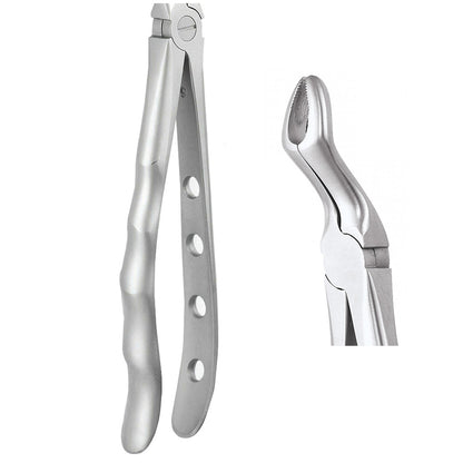 GDC Extraction Forceps Upper Third Molars - FX67AP | 67A Premium