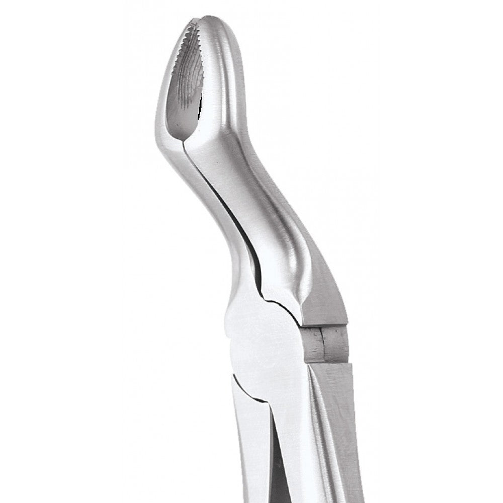 GDC Extraction Forceps Upper Third Molars FX67AS | 67A Standard