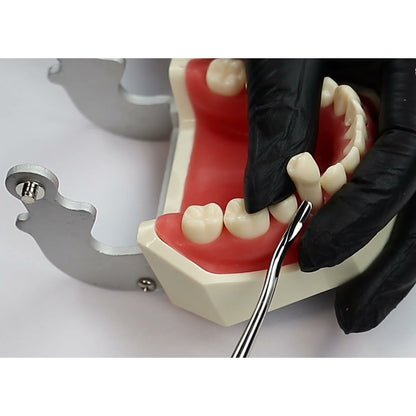GDC Luxatip - 3mm Contra Angle - L3CA