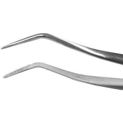 GDC Mariam Tweezer - Premium - DP3
