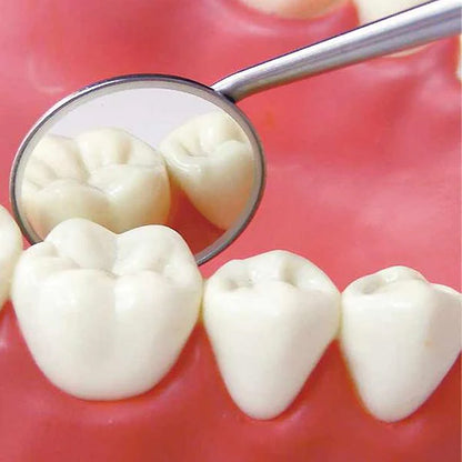 GDC Mouth Mirror Tops Fs Rhodium Coated Pack Of 12 - 4 - MMTFS4