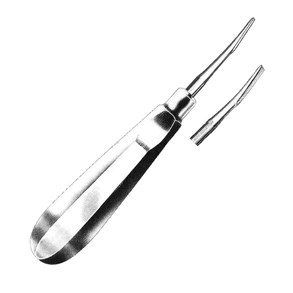 GDC Root Elevator Coupland Standard - EA1C